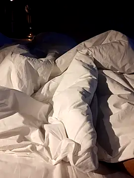 Snapshot of Premium_Dick chatting on March 2025 12:05:01 AM Premium Dick online show from March 2025 12:05:01 AM