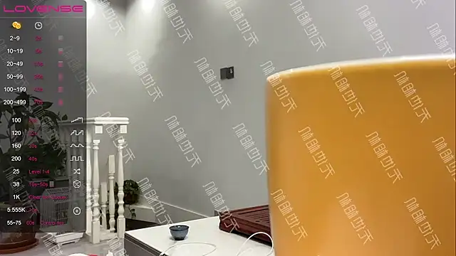 Snapshot of xinxin-521 chatting on December 2024 07:17:02 PM xinxin-521 online show from December 2024 07:17:02 PM