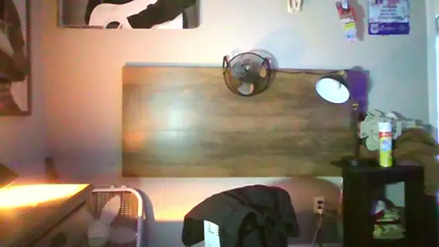 Snapshot of rickyslick123 chatting on February 2026 12:03:01 AM rickyslick123 online show from February 2026 12:03:01 AM