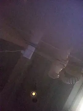 homenbuscalacto online show from October 2025 01:50:01 PM