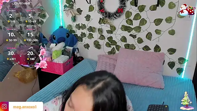 Megan sophia2 online show from December 2024 12:55:02 PM