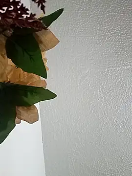 Naomy veracruz  online show from February 2026 10:02:01 AM