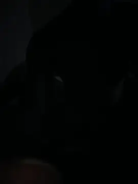 Bignc online show from March 2026 11:32:02 AM