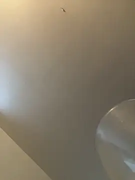 Snapshot of bv7L1h5i6B_jNHe chatting on January 2025 01:05:01 PM bv7L1h5i6B jNHe online show from January 2025 01:05:01 PM