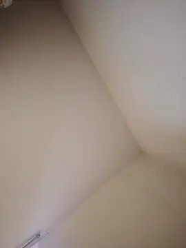 Fer-nand online show from December 2024 01:44:01 PM