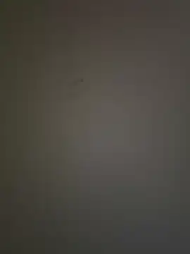 krishking1117 online show from December 2024 06:45:02 AM