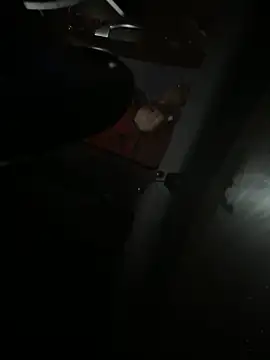 Mustafa-231 online show from November 2025 06:33:02 PM