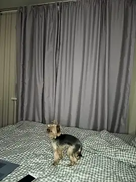 Snapshot of Cute_Barbieee_ chatting on December 2024 10:08:02 PM Cute Barbieee online show from December 2024 10:08:02 PM