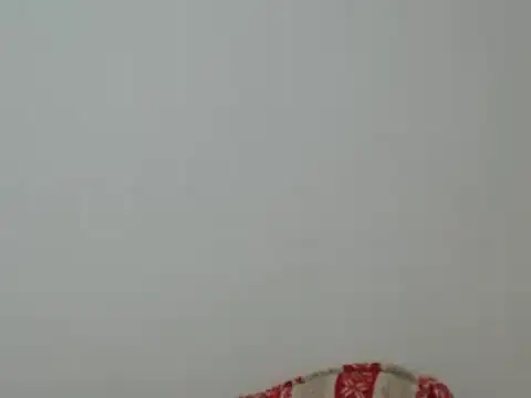 Snapshot of Hannabeckboobs chatting on December 2024 03:37:01 PM Hannabeckboobs online show from December 2024 03:37:01 PM