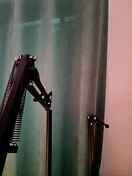 Weiwei5200 online show from November 2025 01:56:02 PM