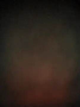 zuludog online show from May 2026 03:47:01 AM