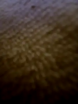 houy111111 online show from February 2026 05:51:01 PM