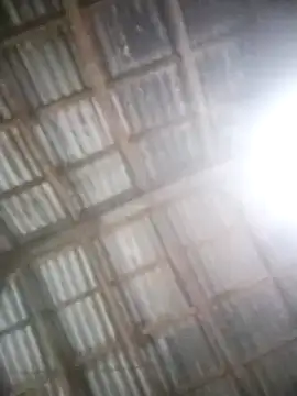 Snapshot of Feli230990 chatting on March 2025 04:13:01 AM Feli230990 online show from March 2025 04:13:01 AM