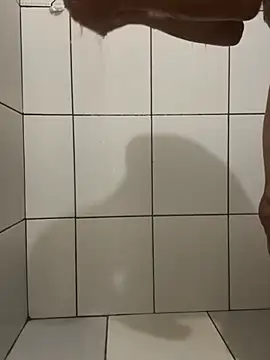 Snapshot of Henrico chatting on December 2024 09:33:02 PM Henrico online show from December 2024 09:33:02 PM