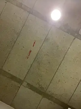 Snapshot of fathomless chatting on November 2025 02:14:01 AM fathomless online show from November 2025 02:14:01 AM