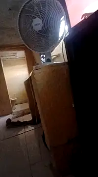 frotasso online show from March 2025 02:42:02 PM