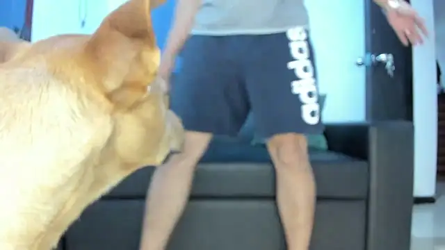 Snapshot of boss_of_cash chatting on October 2025 01:30:02 AM boss of cash online show from October 2025 01:30:02 AM