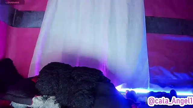 Cata-angel online show from March 2025 03:56:01 AM