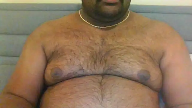 Snapshot of indianbearbot chatting on January 2025 08:15:01 PM indianbearbot online show from January 2025 08:15:01 PM