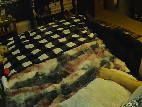 EroticKityii online show from April 2026 05:08:02 AM