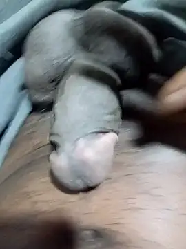 tharu111111 online show from April 2026 07:22:01 PM