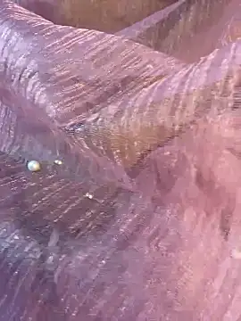 honeyboobies7249 online show from January 2026 06:46:02 PM