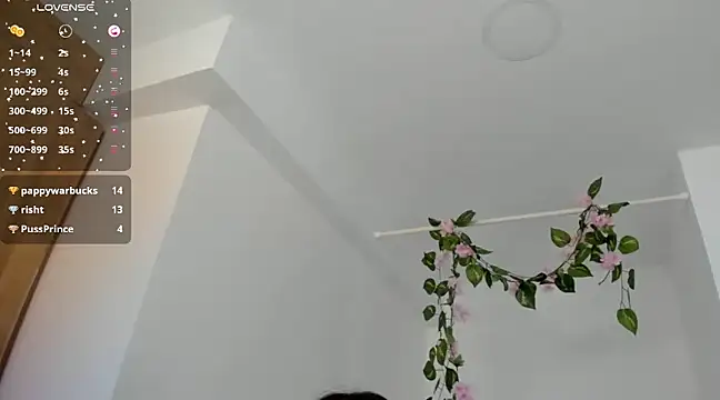 Snapshot of Ninna--1 chatting on January 2025 06:49:01 PM Ninna--1 online show from January 2025 06:49:01 PM