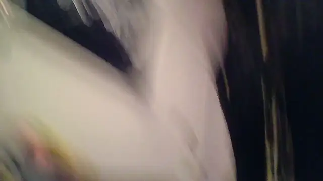 Snapshot of SilverandFox chatting on November 2025 09:31:01 AM SilverandFox online show from November 2025 09:31:01 AM