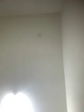 Snapshot of bidex002 chatting on May 2026 12:29:02 AM bidex002 online show from May 2026 12:29:02 AM