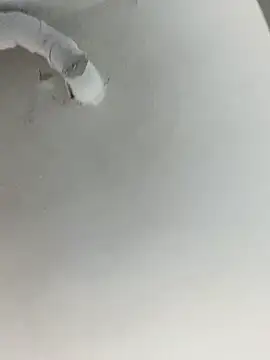 ekskekejejej online show from September 2025 02:55:02 PM