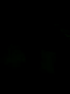 andreiwhite2  online show from December 2025 12:06:01 AM