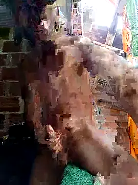 Andres123cv online show from April 2026 04:25:01 PM