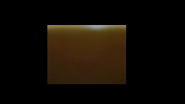 Snapshot of berberson chatting on December 2024 08:43:02 AM berberson online show from December 2024 08:43:02 AM
