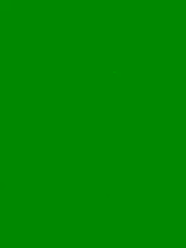 Snapshot of 87Mac87 chatting on March 2025 08:08:01 AM 87Mac87 online show from March 2025 08:08:01 AM