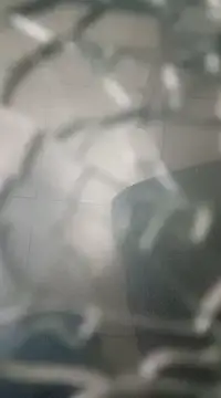 Snapshot of cachondosur13 chatting on February 2025 08:19:02 AM cachondosur13 online show from February 2025 08:19:02 AM