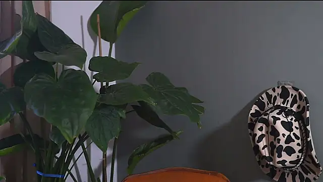 Snapshot of HairyRobxxx chatting on September 2025 10:05:01 AM HairyRobxxx online show from September 2025 10:05:01 AM