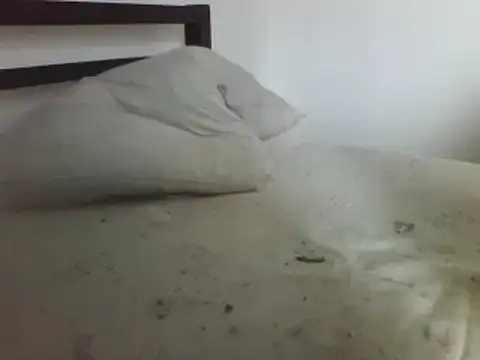 horndude187187 online show from January 2025 11:05:01 AM