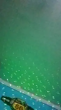 Snapshot of Elrep_tile chatting on March 2025 04:10:01 AM Elrep tile online show from March 2025 04:10:01 AM