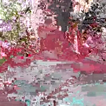 Kaizer1 online show from October 2025 04:51:02 AM