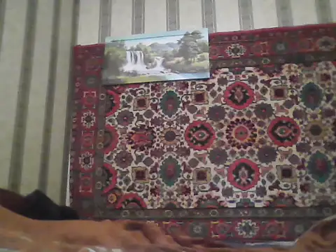 Snapshot of AlferezzSolvajo chatting on November 2025 12:15:02 PM AlferezzSolvajo online show from November 2025 12:15:02 PM