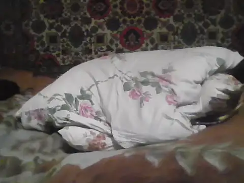 Snapshot of AlferezzSolvajo chatting on December 2025 06:17:01 PM AlferezzSolvajo online show from December 2025 06:17:01 PM