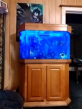 Rebeckalove online show from February 2025 01:49:02 PM