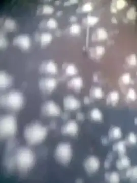 Amaya Bajwa online show from November 2025 04:32:02 AM