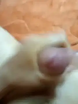 mmarvis za78 93 21cm online show from January 2025 08:21:01 PM