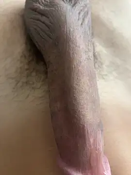 Snapshot of qazsazx chatting on September 2025 03:28:01 PM qazsazx online show from September 2025 03:28:01 PM