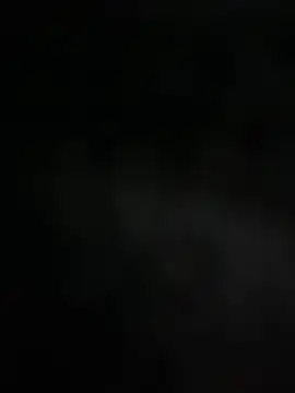 mdnn77 online show from February 2025 08:33:02 AM