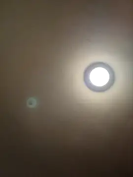 MrDaddyBbSnake online show from January 2025 02:25:01 AM