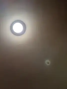 MrDaddyBbSnake online show from January 2025 04:29:01 AM