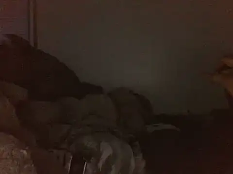 MrDaddyBbSnake online show from March 2025 08:51:02 AM