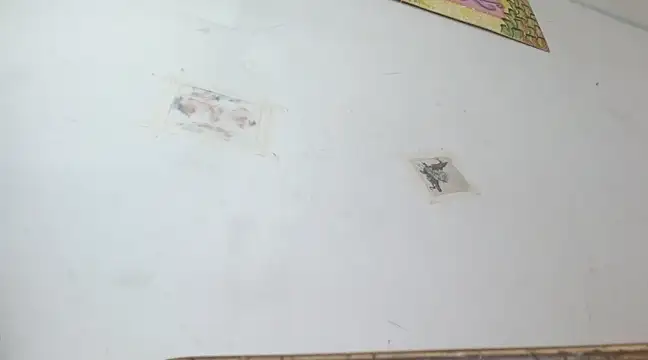 boysLittle online show from February 2025 10:04:01 PM